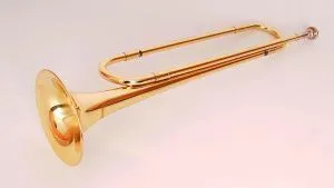 Conductor FLT-SP Труба горн C(до).