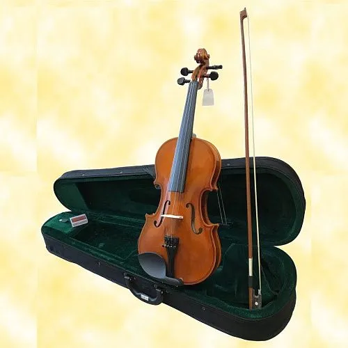 Brahner BV-300 1/16 Скрипка в комплекте: кейс, смычок, канифоль.