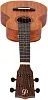 Flight NUC500 Укулеле концерт-8