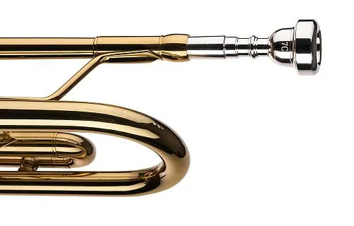 Conductor FLT-TR-3 Труба помповая, студенческая модель.