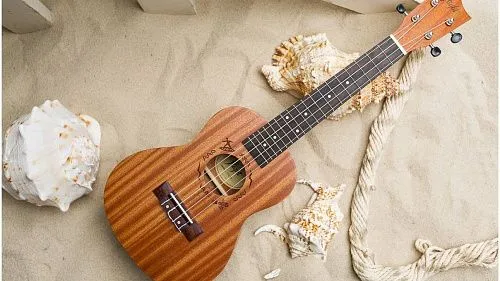 Flight NUC310 Укулеле концерт