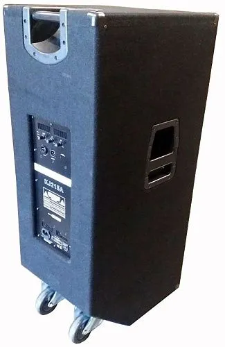 Soundking KJ215A Активная акустическая система.