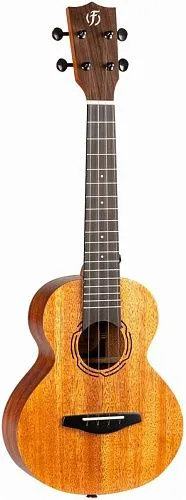 Flight NUC500 Укулеле концерт