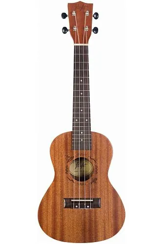 Flight NUC310 Укулеле концерт