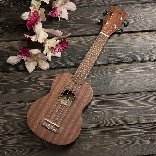 Flight NUS310 Укулеле.