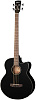 Cort AB850F-BK-Bag Бас-гитара акустическая.-0