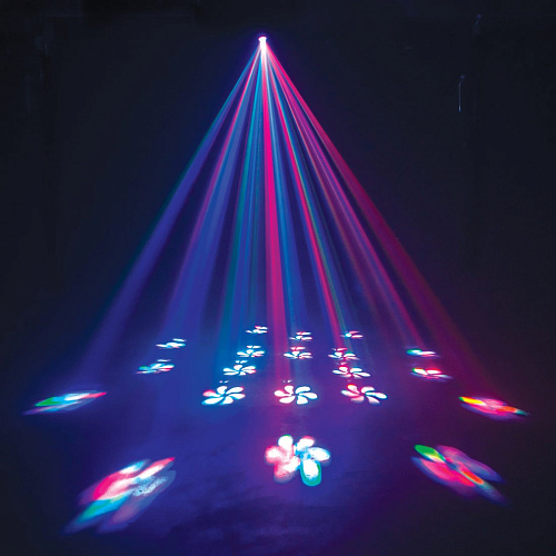 American DJ Warp Tri LED Cветовой прибор. 