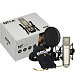 Rode NT1-A MIC Студийный конденсаторный микрофон.-2