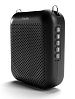 LAudio WS-VA058-Pro Переносной громкоговоритель для гида.-2