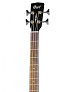 Cort AB850F-BK-Bag Бас-гитара акустическая.-1