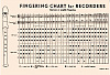 Hohner B9565 Блок-флейта сопрано.-1