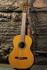Perez 610 Cedar Гитара классическая-6