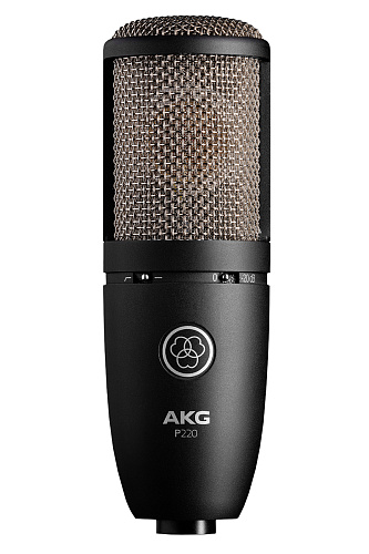 AKG P220 Perception Вокальный конденсаторный микрофон.